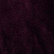 Dark Violet