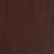 Chestnut